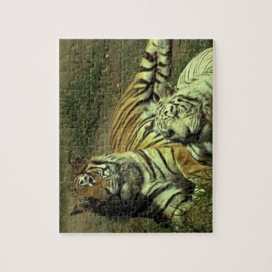 Meel- en Vrouw tijgers Legpuzzel (Verticaal)