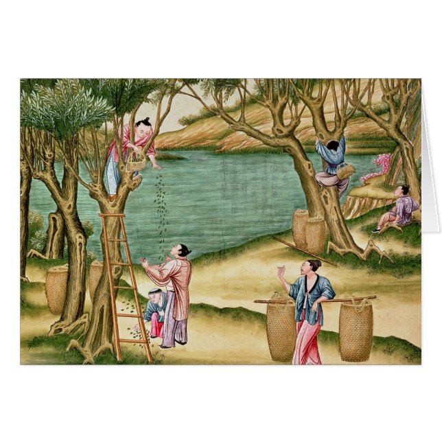 Meel verzamelen (Voorkant Horizontaal)