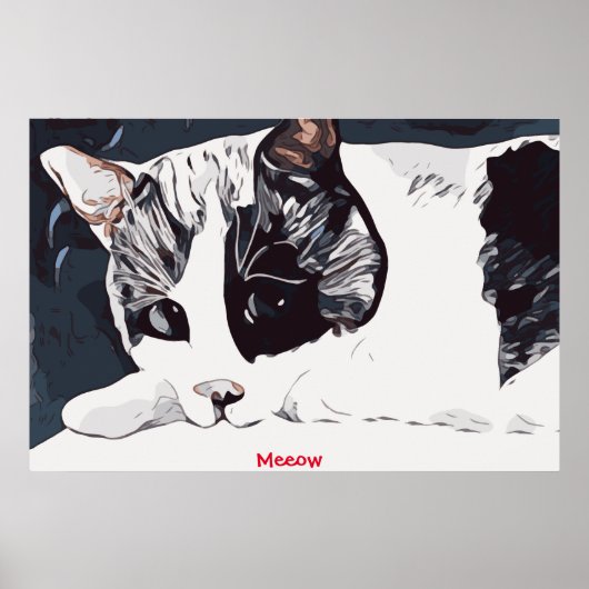 Meeow Cat Poster (Voorkant)
