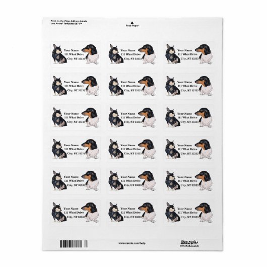 Meer adresetiketten voor huisdieren etiket (Full Sheet)