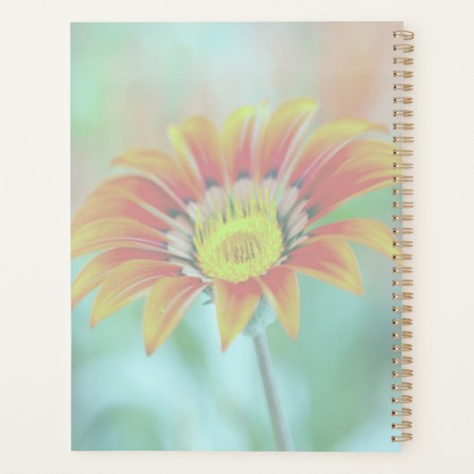 Meer als Koeien dan mensen Planner (Achterkant)