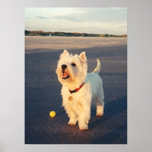 Meer, alstublieft! Westie-balposter Poster