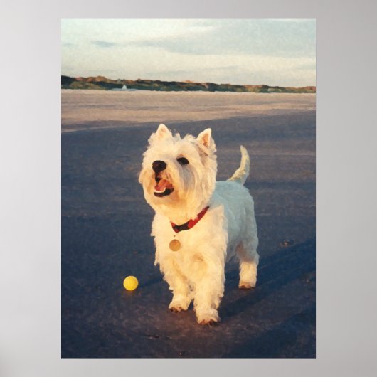 Meer, alstublieft! Westie-balposter Poster (Voorkant)