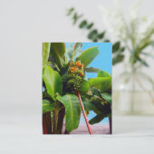 Meer bananen briefkaart (Staand voorkant)