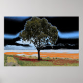 Meer Beeac Solo Boom Poster (Voorkant)