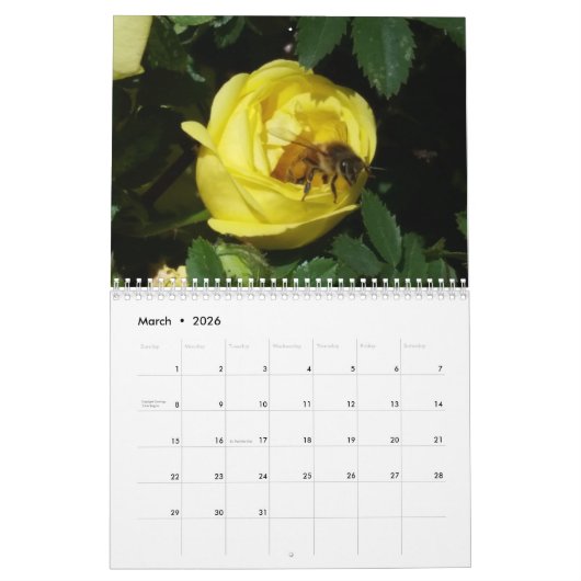 Meer beelden uit een bloementuin kalender (Mar 2026)