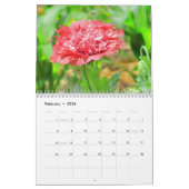 Meer beelden uit een bloementuin kalender (Feb 2026)