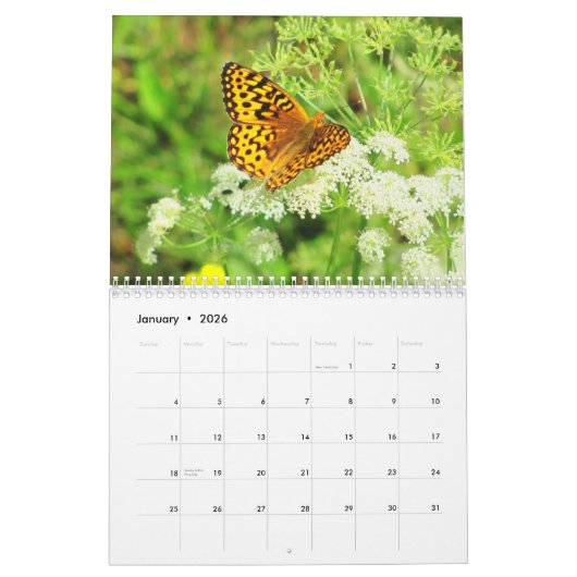 Meer beelden uit een bloementuin kalender (Jan 2026)