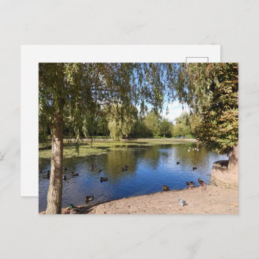 Meer Briefkaart (Voorkant / Achterkant)