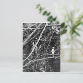 meer briefkaart (Staand voorkant)