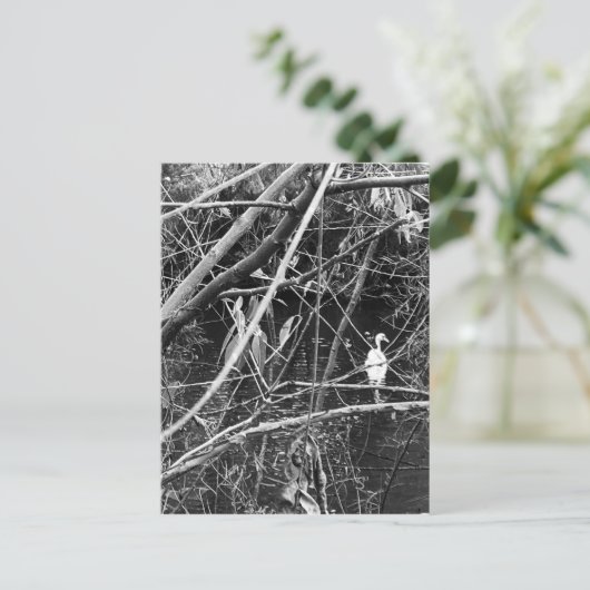 meer briefkaart (Staand voorkant)