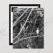 meer briefkaart (Voorkant / Achterkant)