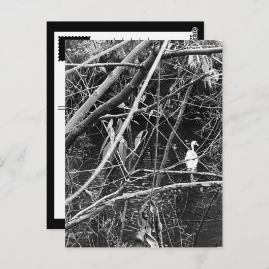 meer briefkaart (Voorkant / Achterkant)