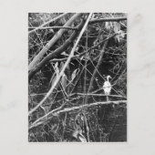 meer briefkaart (Voorkant)