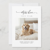 Meer Cheer Minimalist Dog Kerstfoto Feestdagenkaart (Voorkant)