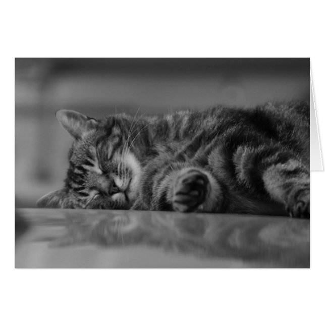 Meer Como Cat - 3 B&W (Voorkant Horizontaal)