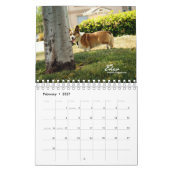 Meer Corgis (met blogs) Mini Calendar Kalender (Feb 2027)