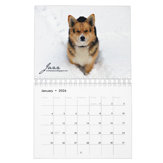 Meer Corgis (met blogs) Mini Calendar Kalender (Jan 2026)