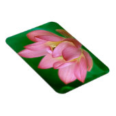 Meer dan een Dream Magnet Magneet (Rechterzijde)