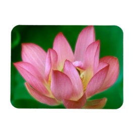 Meer dan een Dream Magnet Magneet