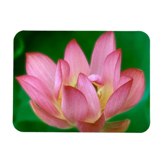 Meer dan een Dream Magnet Magneet (Horizontaal)