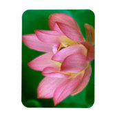 Meer dan een Dream Magnet Magneet (Verticaal)