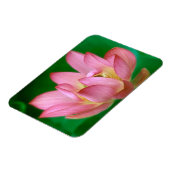 Meer dan een Dream Magnet Magneet (Linkerzijde)