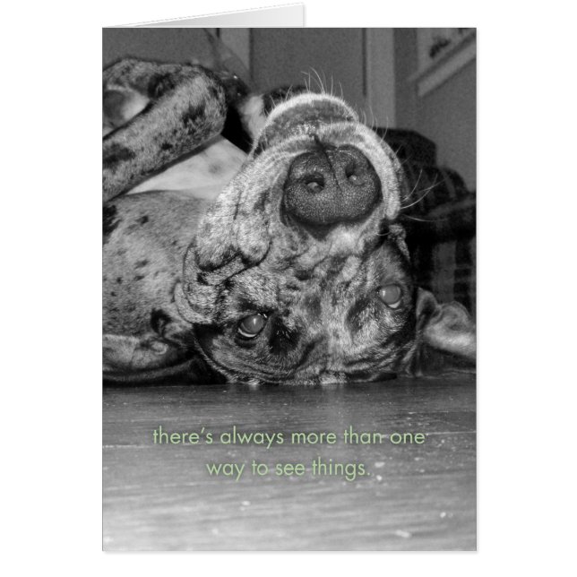 Meer dan één manier (Voorkant)