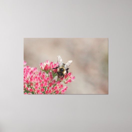 Meer dan gesneden bijendoek canvas afdruk (Voorkant)