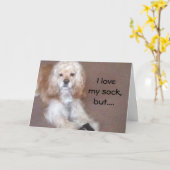 MEER DAN SOCK BIRTHDAY KAART (Gele Bloem)