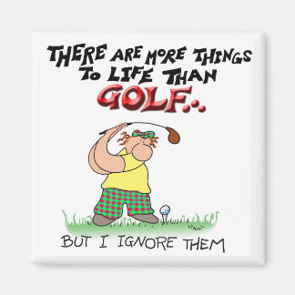 Meer dingen dan golf magneet