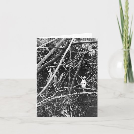 meer feestdagen kaart (Voorkant)