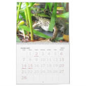 Meer FROGS! Kalender (Feb 2027)