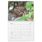 Meer FROGS! Kalender (Mar 2027)