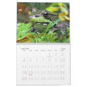 Meer FROGS! Kalender (Jan 2026)
