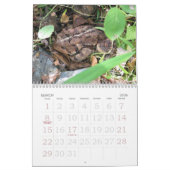 Meer FROGS! Kalender (Mar 2026)