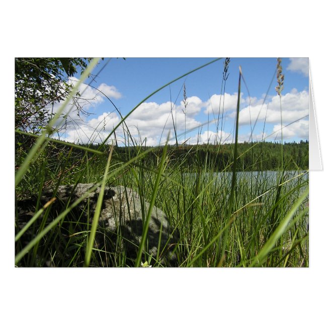 Meer gras (Voorkant Horizontaal)