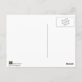 meer hawea briefkaart (Achterkant)