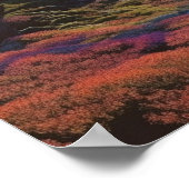 Meer in de hooglanden poster (Hoek)