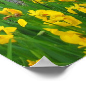 Meer in Lawrence, Kansas Poster (Hoek)