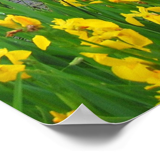 Meer in Lawrence, Kansas Poster (Hoek)