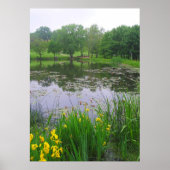 Meer in Lawrence, Kansas Poster (Voorkant)