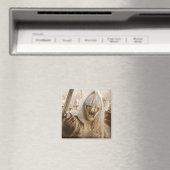 Meer informatie met Helmet Magneet (Insitu (Vaatwasser))