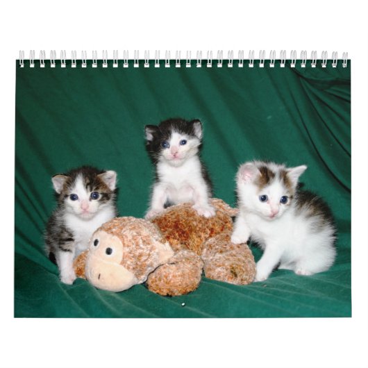 Meer kittens! kalender (Hoes)