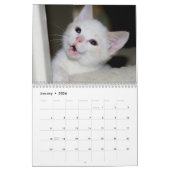 Meer kittens! kalender (Jan 2026)