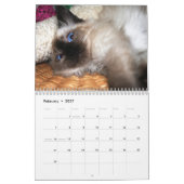 Meer kittens! kalender (Feb 2027)