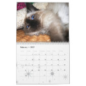 Meer kittens! kalender (Feb 2027)