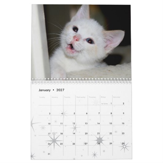 Meer kittens! kalender (Jan 2027)