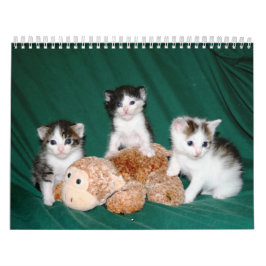Meer kittens! kalender