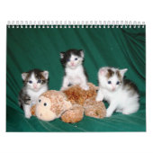 Meer kittens! kalender (Hoes)